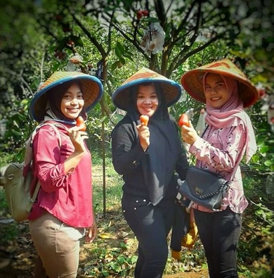 Wisata Buah Botania Garden