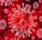 Contoh Kalimat Tanggapan Tentang Peristiwa Virus Corona