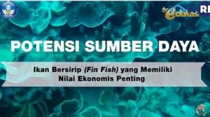 Kunci Jawaban Soal Materi Negeriku Maritim Potensi Sumber Daya di TVRI