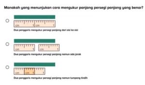 Materi Mengukur Panjang | SD Belajar Dari Rumah di TVRI