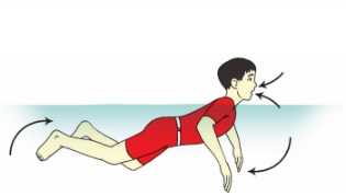 Gaya cara adalah bebas berenang ketika bernafas 5 Teknik