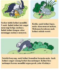 Contoh Gambar Ilustrasi Tentang Hewan Kelinci dan Organ Geraknya