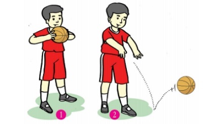 Mempraktikkan Kombinasi Gerak Dasar Lokomotor dan Manipulatif dalam Permainan Bola Basket