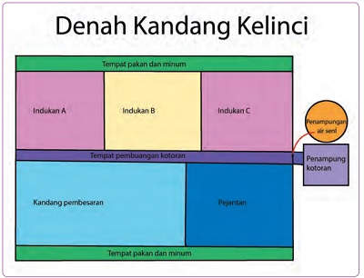 Pembelajaran 4 Tema 1 Subtema 1 Organ Gerak Hewan