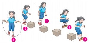 3 Contoh Variasi Gerak Dasar Lompat dan Loncat : Gambar & Penjelasan