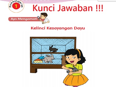 Kunci Jawaban Tema 2 Kelas 3 Subtema 4 Halaman 159 160 163 164 165 Pembelajaran 1 Menyayangi Hewan