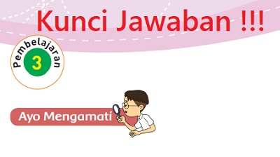 Kunci Jawaban Tema 2 Kelas 3 Subtema 4 Halaman 176 180 181 Pembelajaran 3 Menyayangi Hewan