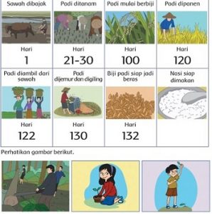 Kunci Jawaban Tema 3 Kelas 4 Halaman 9 dan 10 Pembelajaran 2 Subtema 1