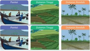 Perbedaan Pantai, Dataran Tinggi dan Dataran Rendah Jawaban Tema 3 Kelas 4 Halaman 5