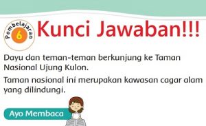 Kunci Jawaban Tema 4 Kelas 2 Halaman 199 200 201 202 204 Pembelajaran 6 Subtema 4 Hidup Bersih dan Sehat di Tempat Umum Buku Tematik