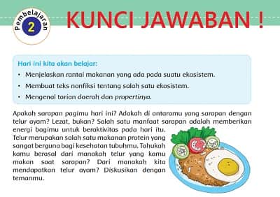 Peran Produsen Konsumen Dan Pengurai Dalam Sebuah Rantai Makanan