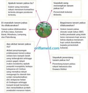 Informasi Penting Bacaan Sistem Tanam Paksa Pemerintah Belanda