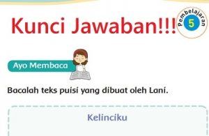 Kunci Jawaban Tema 6 Kelas 2 Halaman 31 32 33 34 35 Pembelajaran 5 Subtema 1 Hewan di Sekitarku Buku Tematik