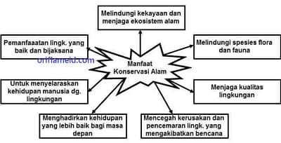 Peta Pikiran Manfaat Konservasi Alam tema 8 kelas 6 halaman 73