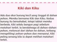 Cerita kiki dan kiku