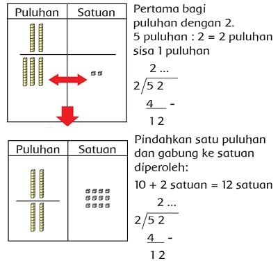 Kunci Jawaban Subtema 4 Pertumbuhan dan Perkembangan Tumbuhan Kelas 3