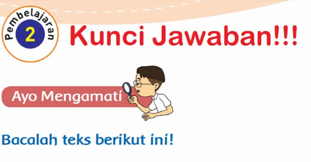 Kunci Jawaban Tema 1 Kelas 3 Halaman 155 156 159 160 Pembelajaran 2 Subtema 4 Pertumbuhan dan Perkembangan Tumbuhan Buku Tematik