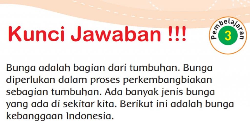 Kunci Jawaban Tema 1 Kelas 3 Halaman 162 163 165 166 Subtema 4 Pertumbuhan dan Perkembangan Tumbuhan Pembelajaran 3 Buku Tematik