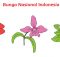 Pilihlah Salah Satu Bunga, Lalu Tuliskan Ciri-Ciri Bunga Tersebut Bentuk, Warna, Ciri Khas Lain Kelas 3 Halaman 162
