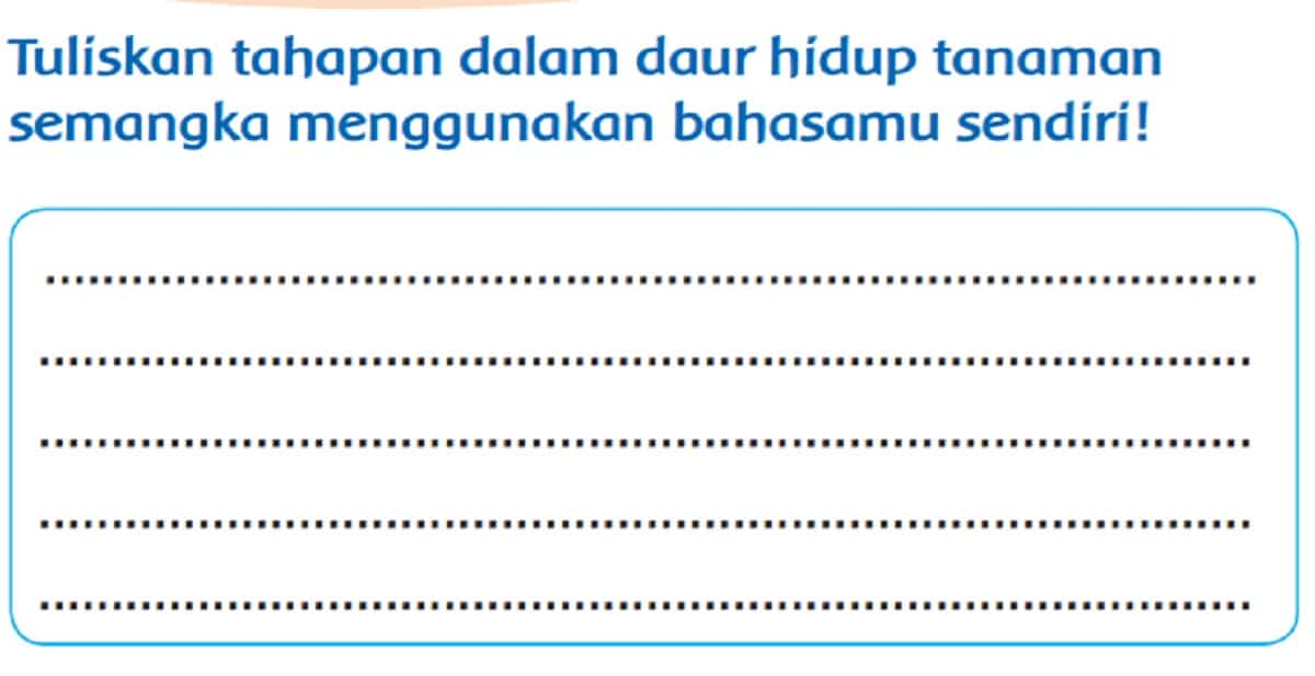 Jawab Tuliskan Tahapan Dalam Daur Hidup Tanaman Semangka Menggunakan Bahasamu Sendiri Kelas 3 Halaman 156