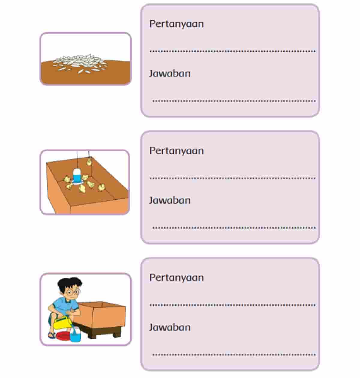 Buatlah Pertanyaan dan Jawaban Sesuai Gambar yang Berkaitan dengan Teks Perawatan Anak Ayam! Kelas 3 Halaman 176
