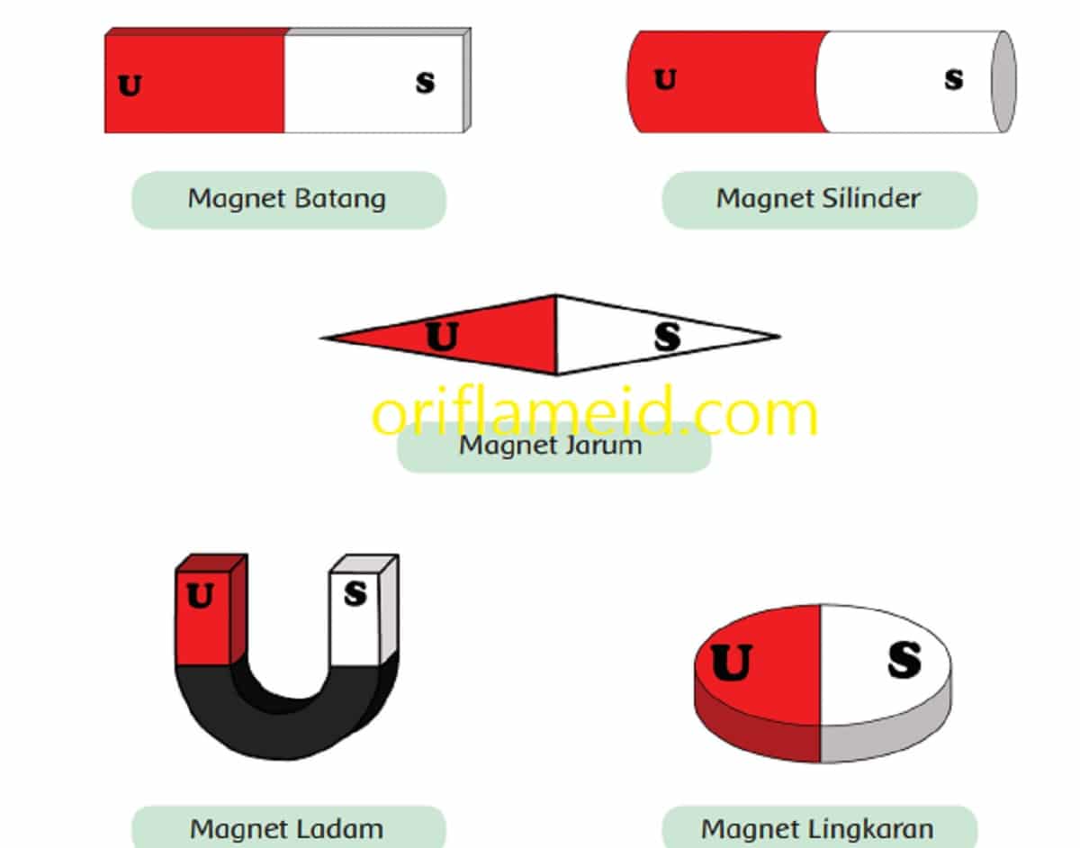 Apa arti simbol U dan S yang terdapat pada magnet Jelaskan perbedaan bentuk masing-masing magnet