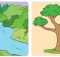 Coba sebutkan manfaat-manfaat sungai dan pohon bagi manusia halaman 48 tema 9 kelas 4