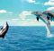 Seekor Lumba-Lumba Berenang Pada Kedalaman 10 Meter di Bawah Permukaan Laut