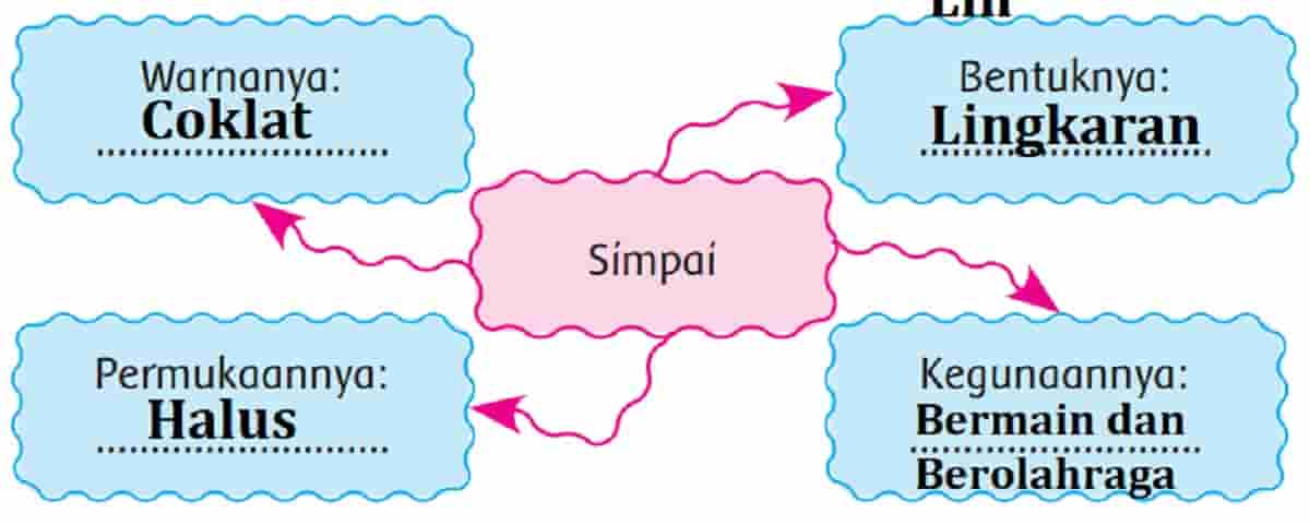 Isilah Kolom Di Bawah Ini Sesuai Pengamatanmu Amati Simpai yang Kamu Punya