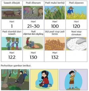 Berdasarkan Gambar Di Atas Diskusikan Pertanyaan Gambar A, B dan C Halaman 9 Kelas 4 SD