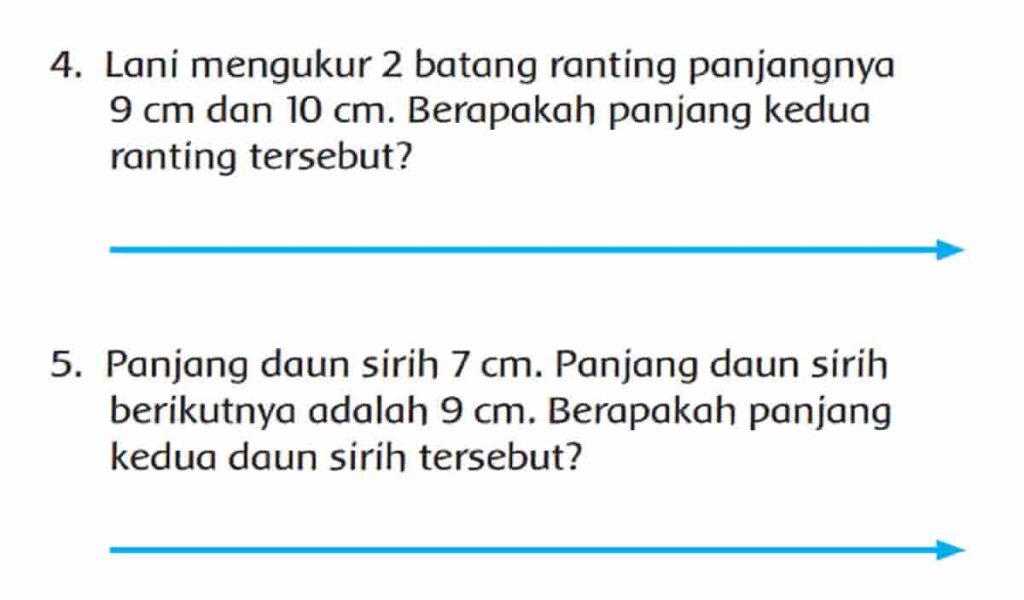 Lani Mengukur 2 Batang Ranting Panjangnya 9 cm dan 10 cm Berapakah Panjang Kedua Ranting