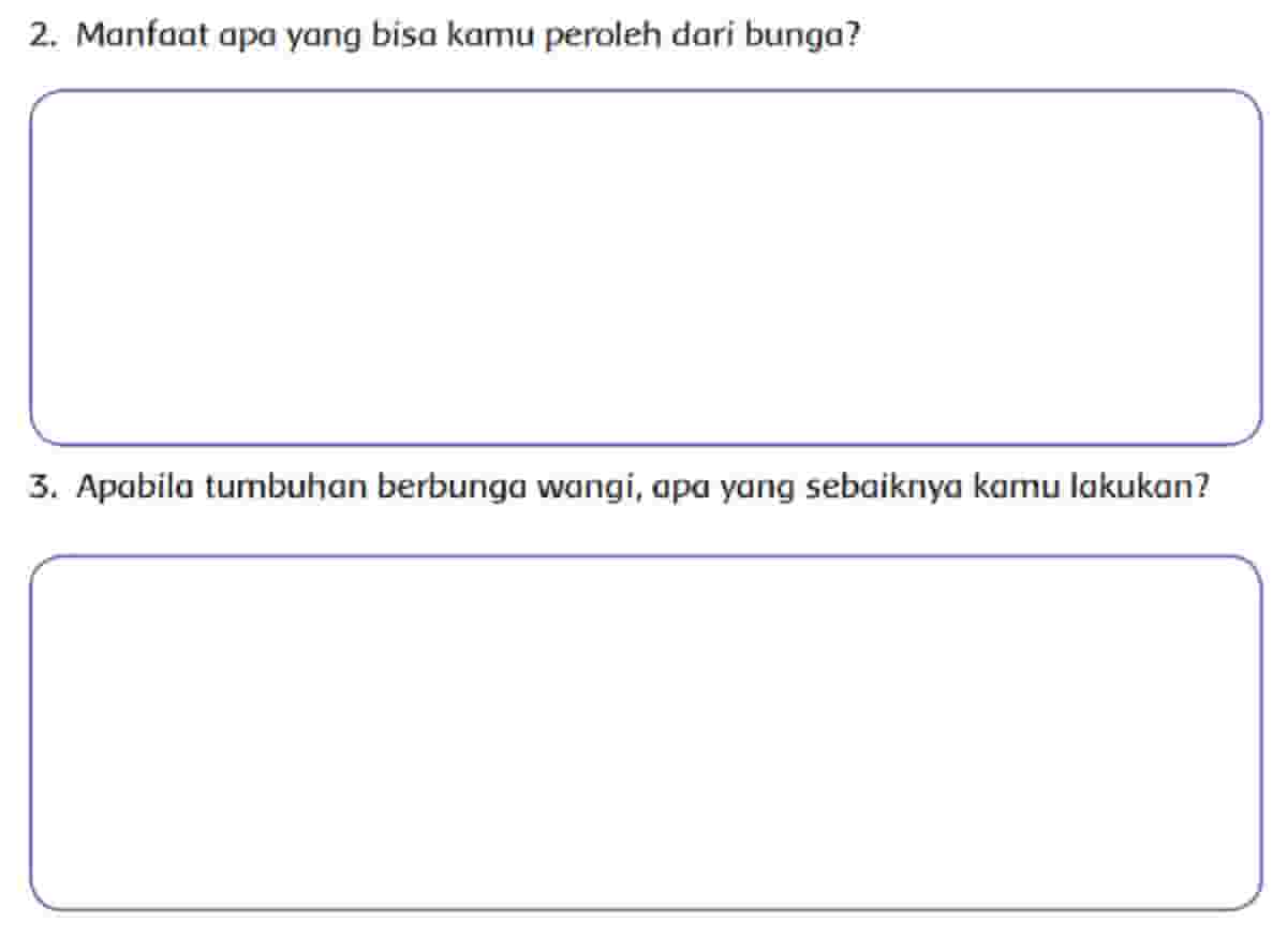 Manfaat Apa yang Bisa Kamu Peroleh Dari Bunga Halaman 22 Tema 3 Kelas 4