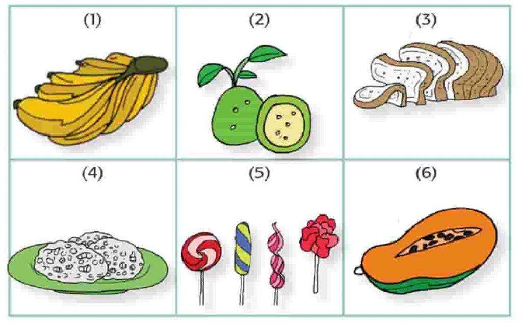 Amati Gambar Makanan Di Atas Manakah Makanan yang Sehat Untukmu Halaman 107 Tema 4 Kelas 3 SD