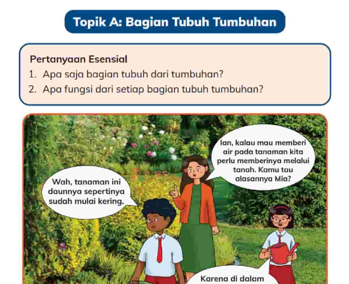 Apa Saja Bagian Tubuh Dari Tumbuhan Apa Fungsi Dari Setiap Bagian Tubuh Tumbuhan IPAS Kelas 4 Halaman 2