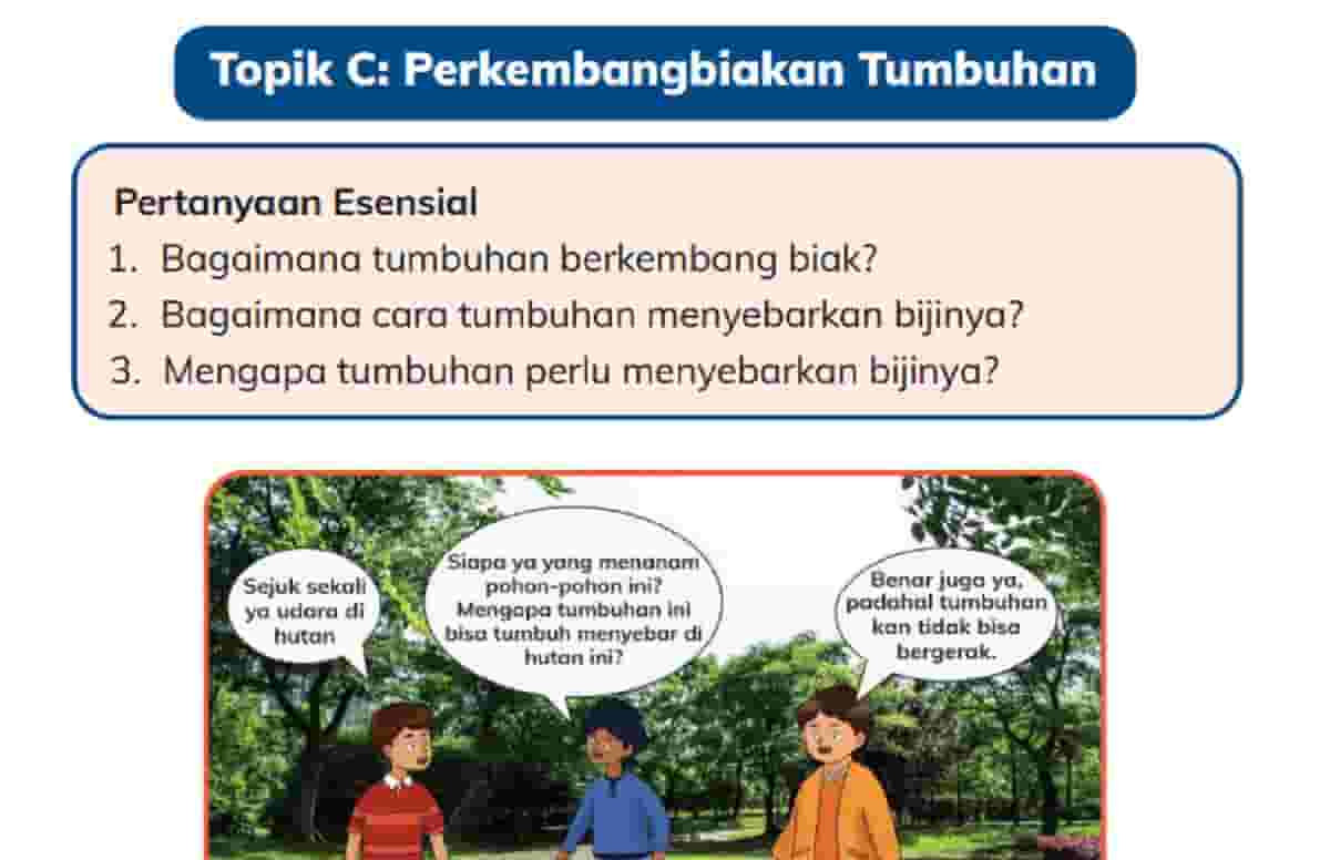 Bagaimana Tumbuhan Berkembang Biak dan Menyebarkan Bijinya Kunci Jawaban IPAS Kelas 4 Halaman 16