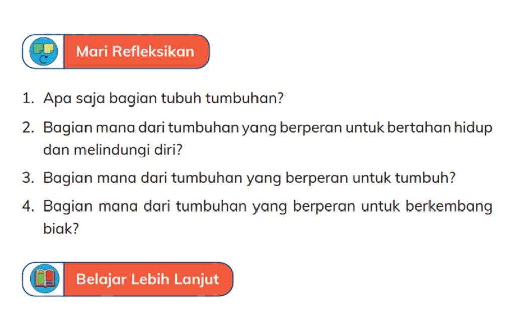 Kunci Jawaban IPAS Kelas 4 Halaman 5 9 10 Kurikulum Merdeka Belajar SD MI Apa saja Bagian Tubuh Tumbuhan