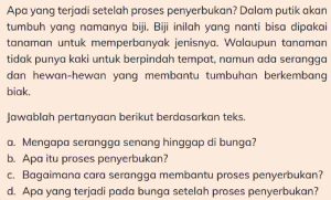 Mengapa Serangga Senang Hinggap Di Bunga Kunci Jawaban IPAS Kelas 4 Halaman 20