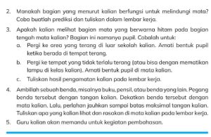 Ambillah Sebuah Benda Misalnya Buku, Pensil, Atau Benda yang Lain Pegang Benda Tersebut dengan Tangan Kalian