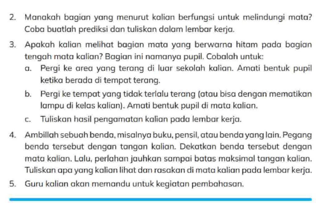 Pergi Ke Area yang Terang Di luar Sekolah Kalian Amati Bentuk Pupil Ketika Berada Di Tempat Terang