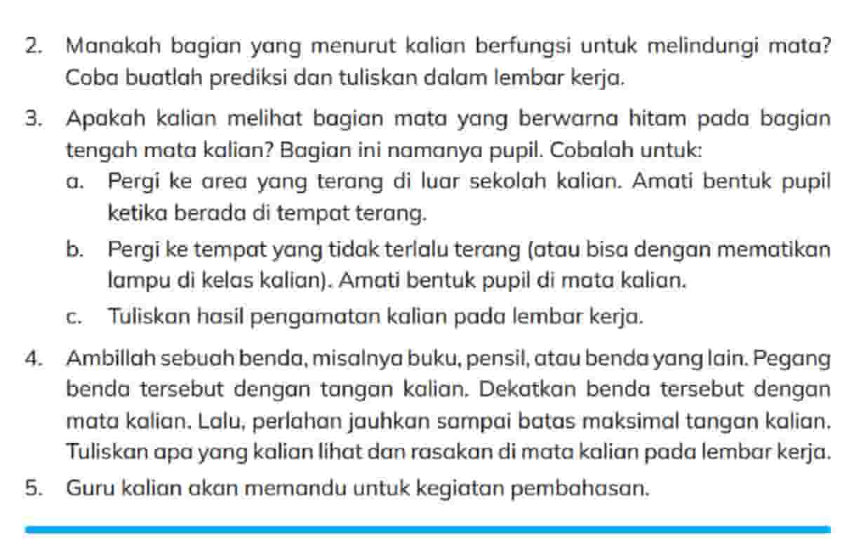 Pergi Ke Area yang Terang Di luar Sekolah Kalian Amati Bentuk Pupil Ketika Berada Di Tempat Terang