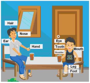 Jawaban Bahasa Inggris Bab 6 Halaman 62 63 Kelas 5 Kurikulum Merdeka Write The Body Parts Of Pak Udin and Ujang